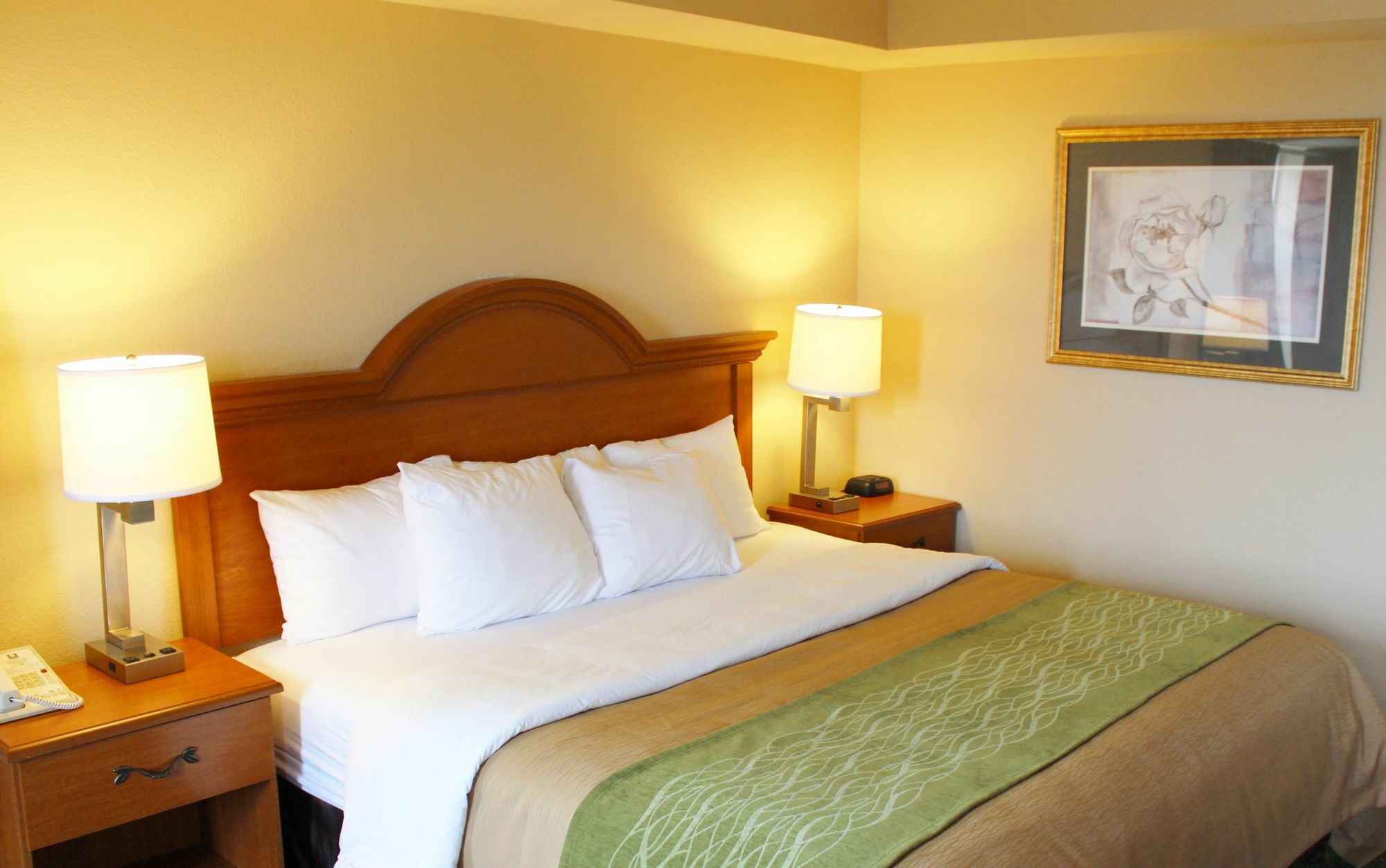 Comfort Inn & Suites St Louis - Chesterfield Extérieur photo